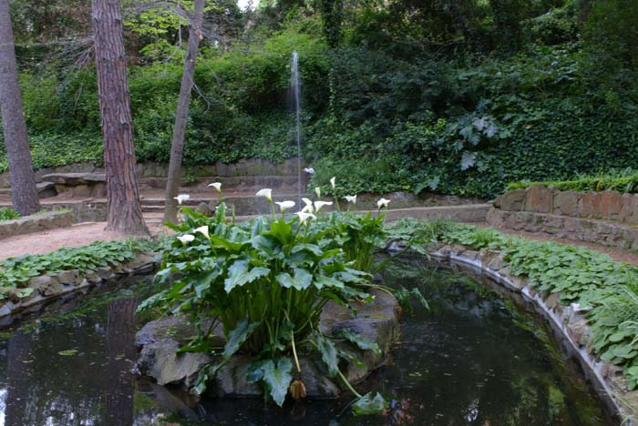 Foto de Barcelona (Cataluña), España