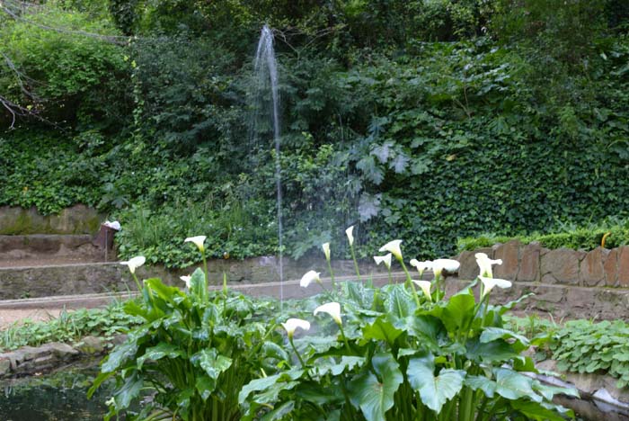 Foto de Barcelona (Cataluña), España