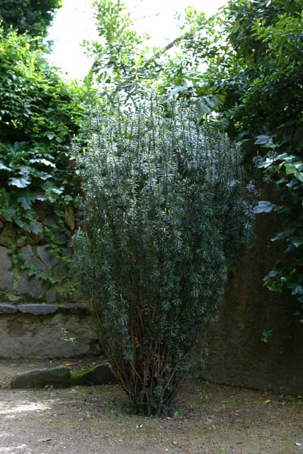 Foto de Barcelona (Cataluña), España