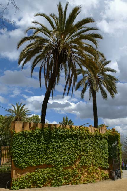 Foto de Barcelona (Cataluña), España