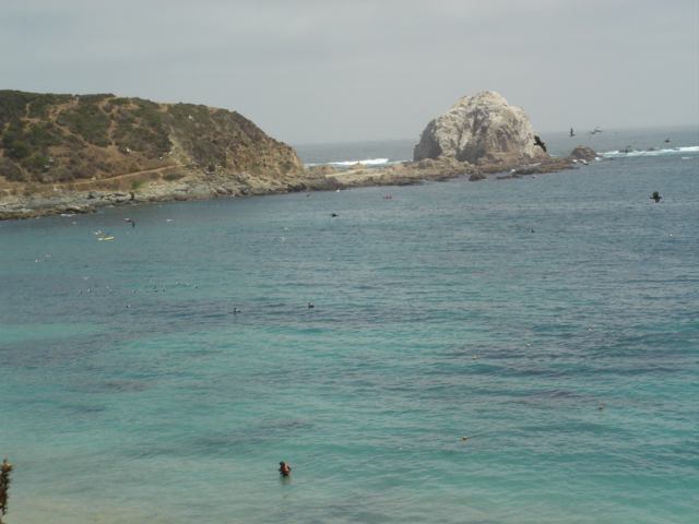 Foto de Algarrobo, Chile