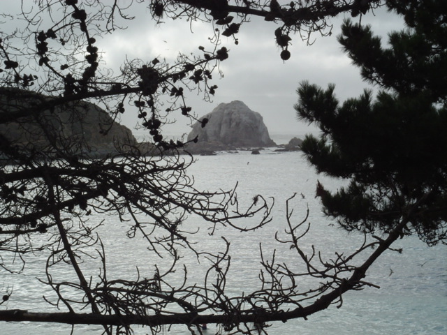 Foto de Algarrobo, Chile