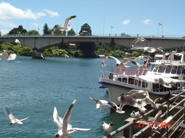 Foto de Valdivia, Chile