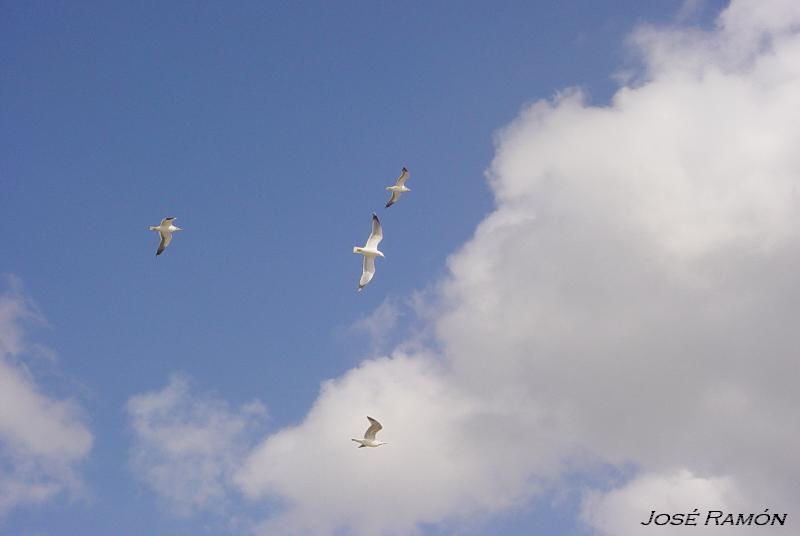 Foto de Barbate (Cádiz), España