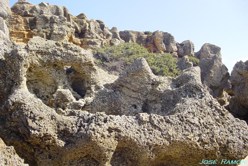 Foto de Conil de la Frontera (Cádiz), España