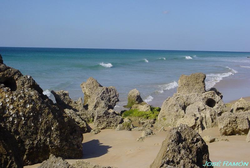 Foto de Conil de la Frontera (Cádiz), España