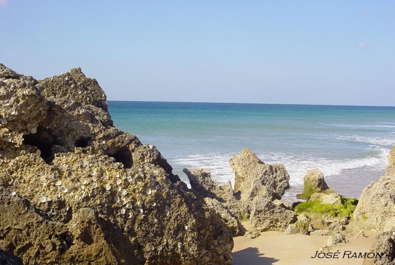 Foto de Conil de la Frontera (Cádiz), España