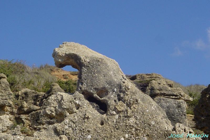 Foto de Conil de la Frontera (Cádiz), España