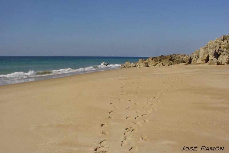 Foto de Conil de la Frontera (Cádiz), España