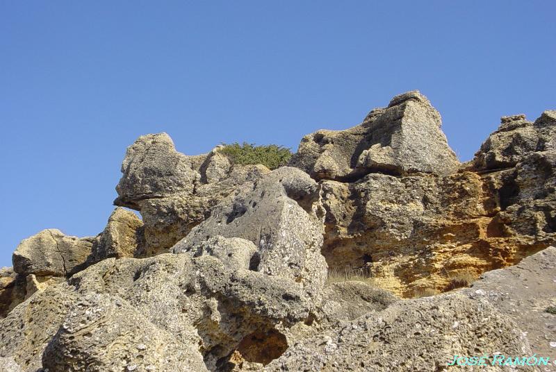 Foto de Conil de la Frontera (Cádiz), España