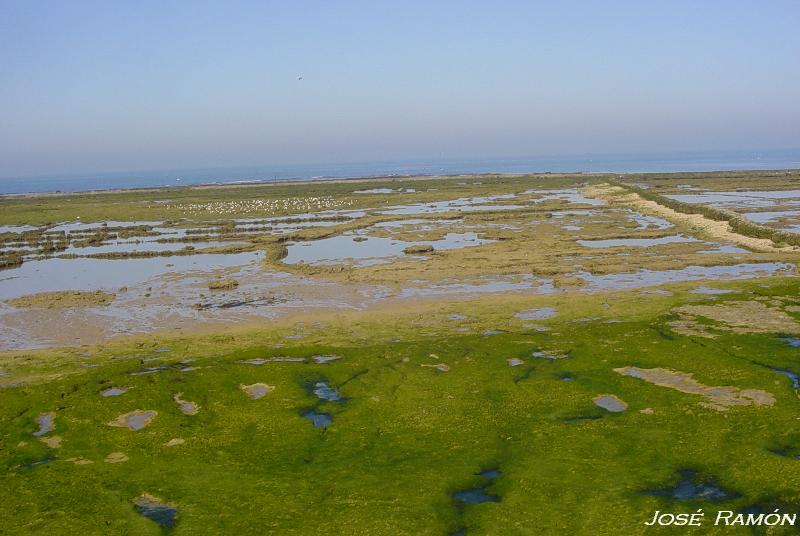 Foto de Chipiona (Cádiz), España