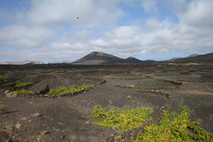 Foto de Lanzarote (Las Palmas), España
