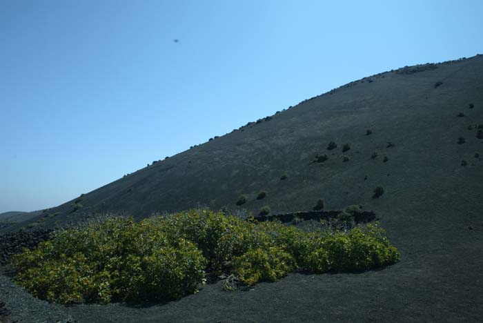 Foto de Lanzarote (Las Palmas), España