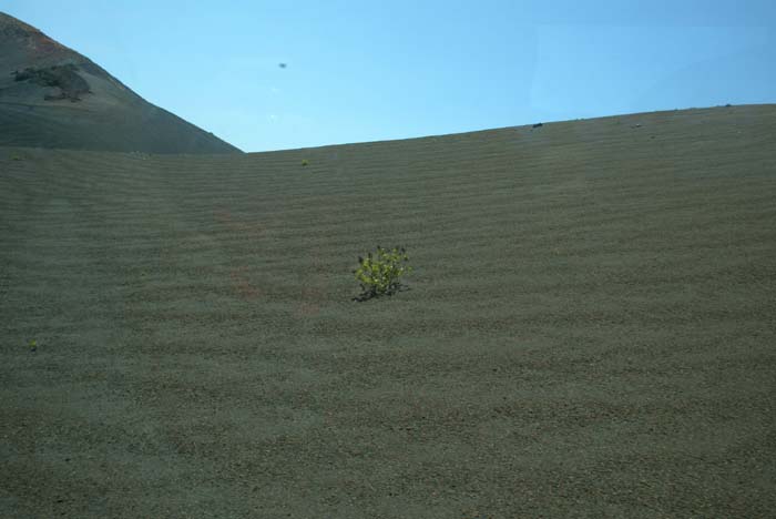 Foto de Lanzarote (Las Palmas), España