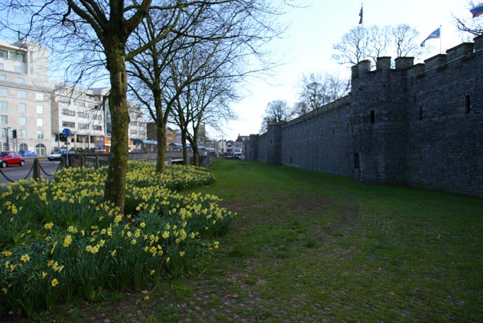 Foto de CARDIFF (Wales), El Reino Unido