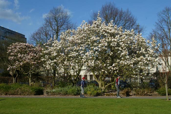 Foto de CARDIFF (Wales), El Reino Unido