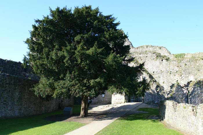 Foto de CHEPSTOW (Wales), El Reino Unido