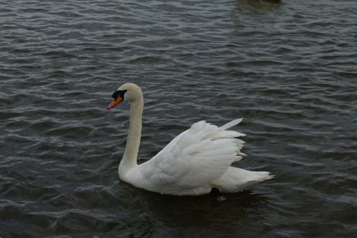 Foto de WINDSOR, El Reino Unido