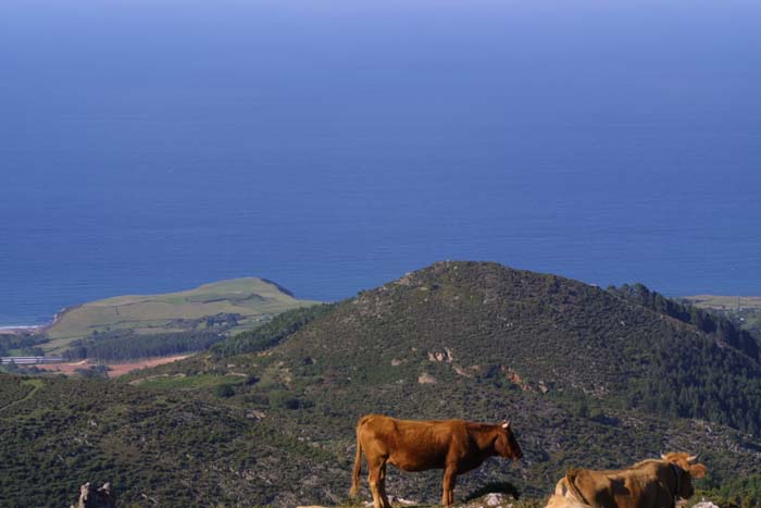 Foto de Mirador del Fito (Asturias), España