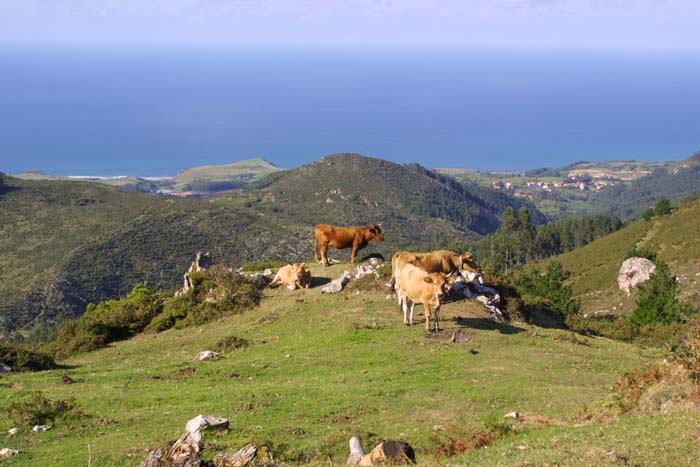 Foto de Mirador del Fito (Asturias), España
