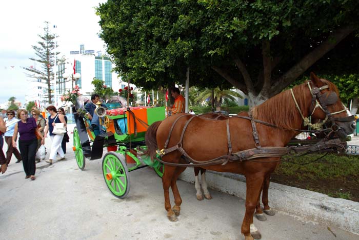 Foto de TUNEZ, Túnez