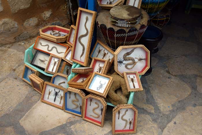 Foto de TUNEZ, Túnez