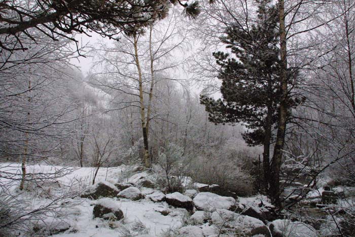 Foto de Vallter (Girona), España