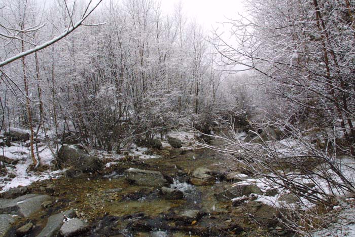 Foto de Vallter (Girona), España
