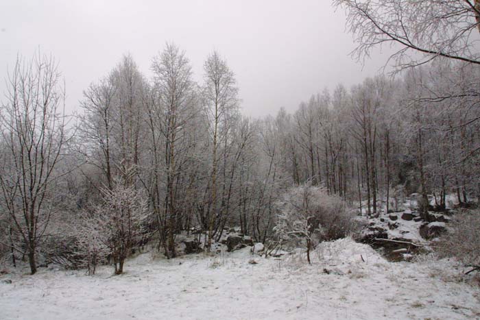 Foto de Vallter (Girona), España