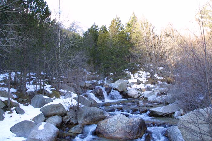 Foto de Vallter (Girona), España