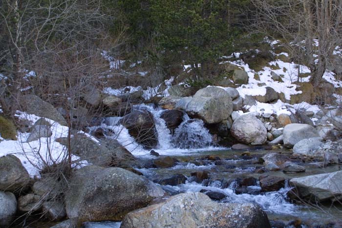 Foto de Vallter (Girona), España