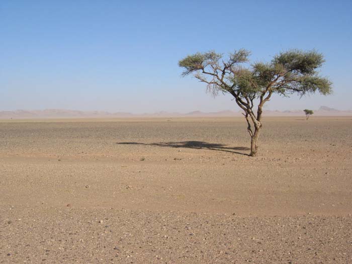 Foto de NEKOB, Marruecos