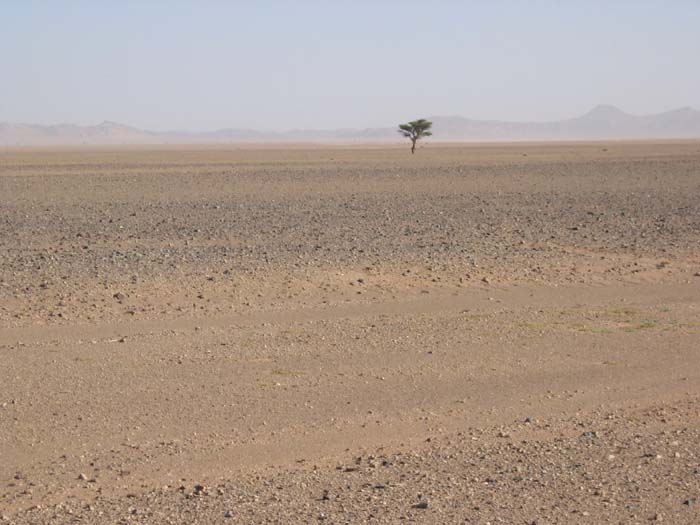 Foto de NEKOB, Marruecos