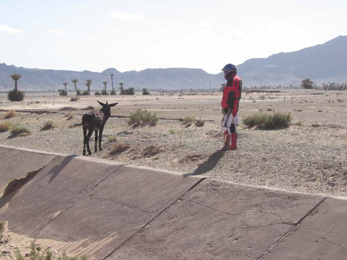 Foto de NEKOB, Marruecos