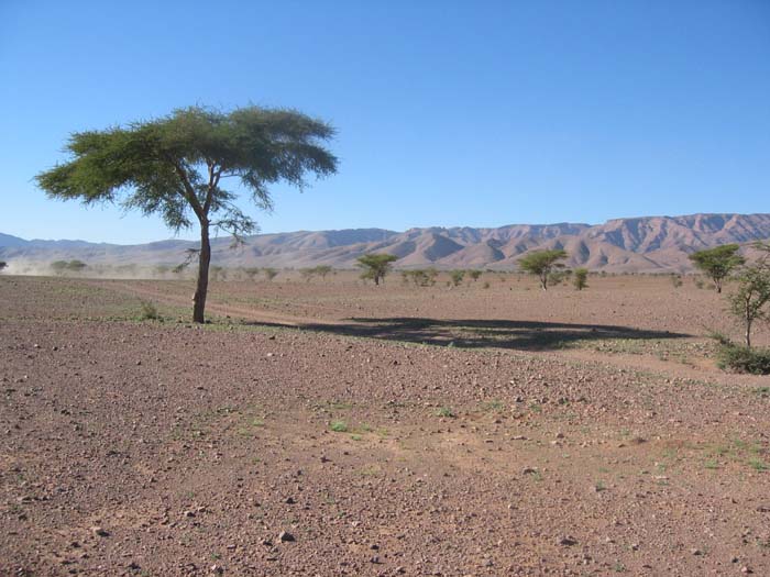 Foto de LAGO IRIKI, Marruecos