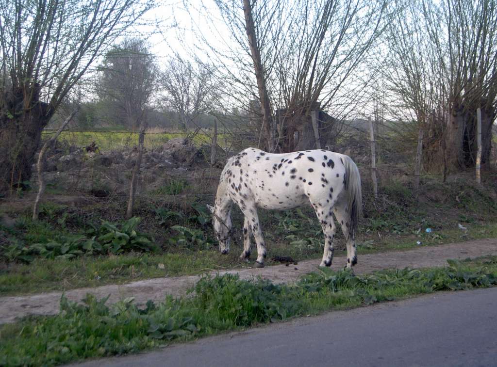 Foto de Tunuyán, Argentina