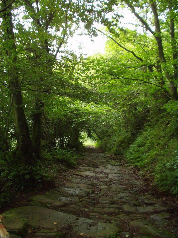 Foto de Bárcena de Pie de Concha (Cantabria), España