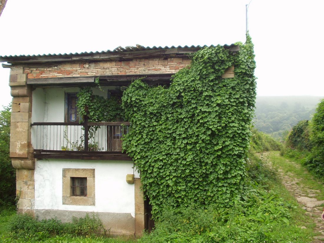 Foto de Bárcena de Pie de Concha (Cantabria), España