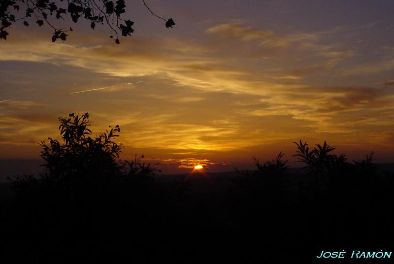 Foto de Jerez de la Frontera (Cádiz), España