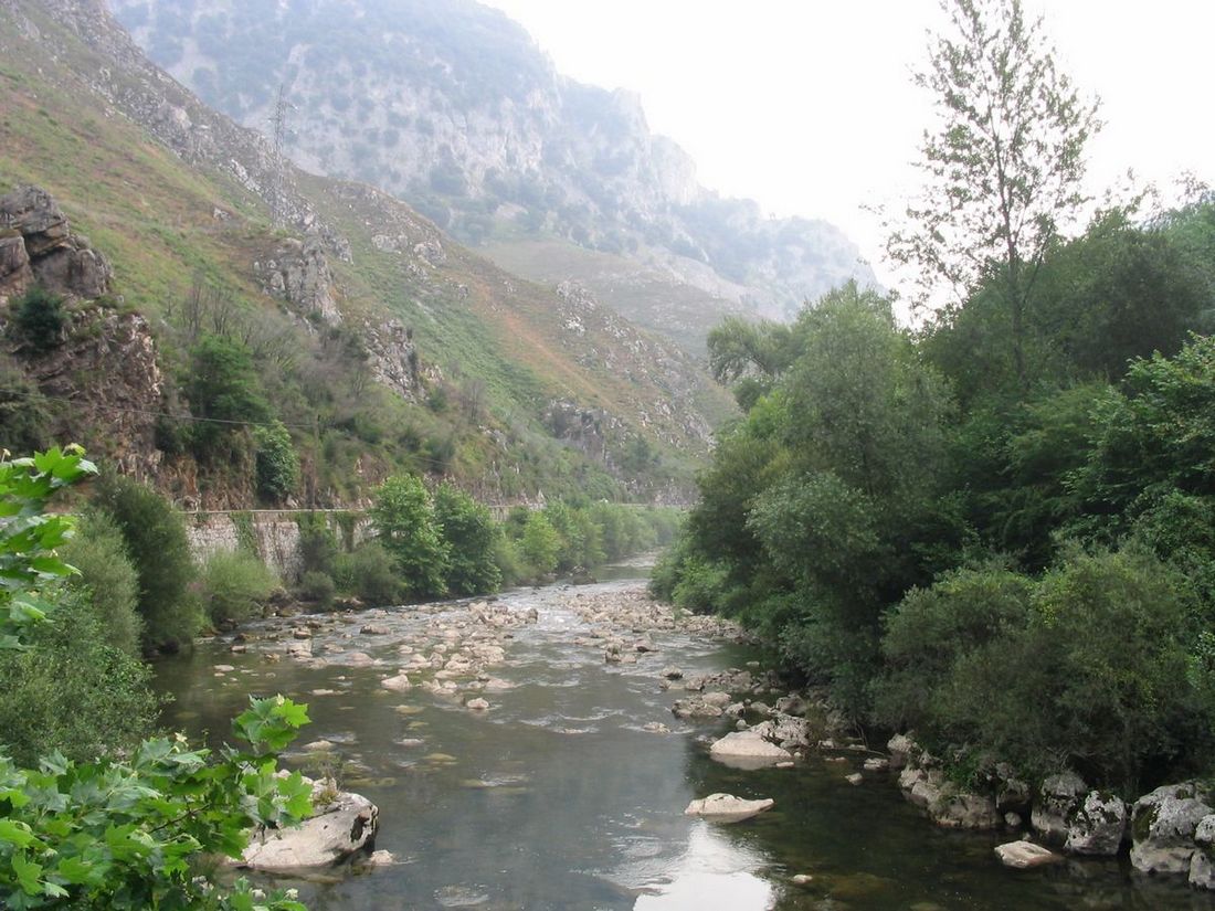Foto de Desfiladero de la Hermida (Cantabria), España