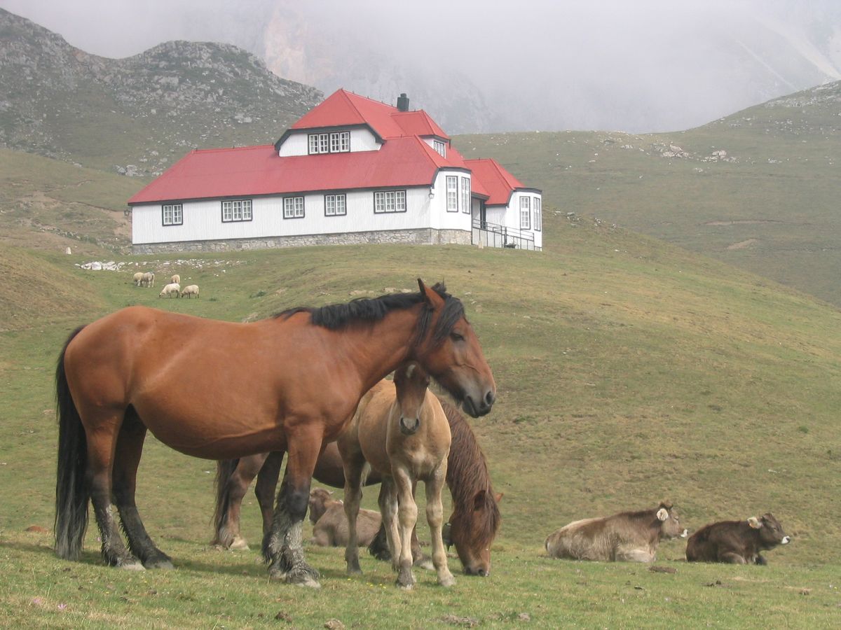 Foto de Picos de Europa (Cantabria), España