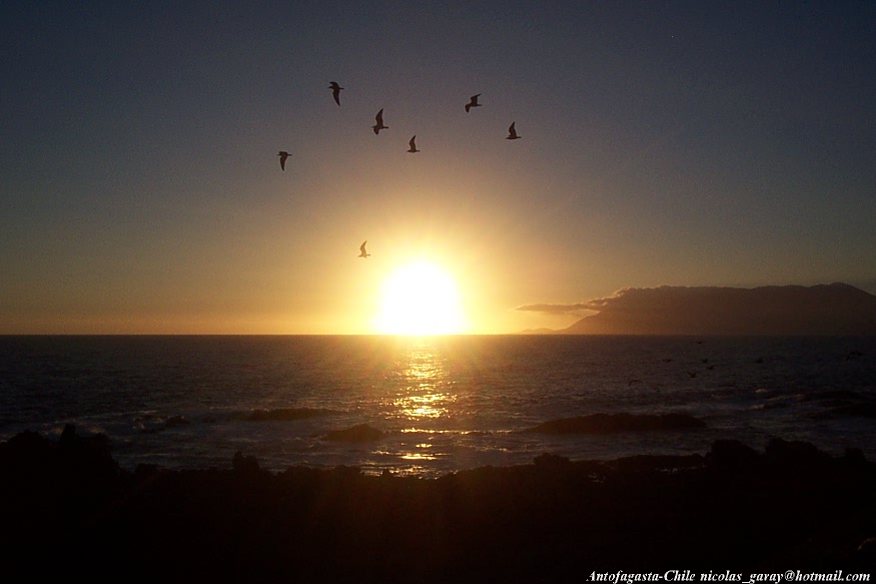 Foto de Antofagasta, Chile