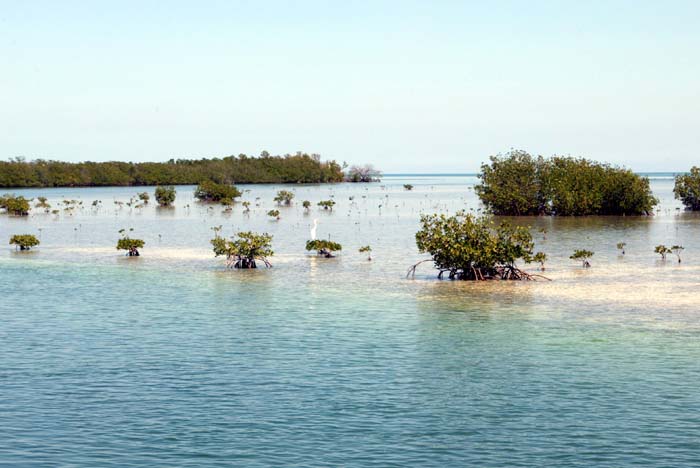 Foto de Varadero, Cuba