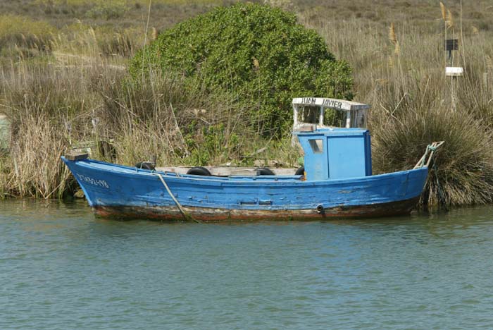 Foto de Deltebre (Tarragona), España