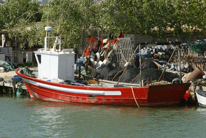 Foto de Deltebre (Tarragona), España