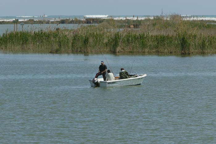Foto de Deltebre (Tarragona), España