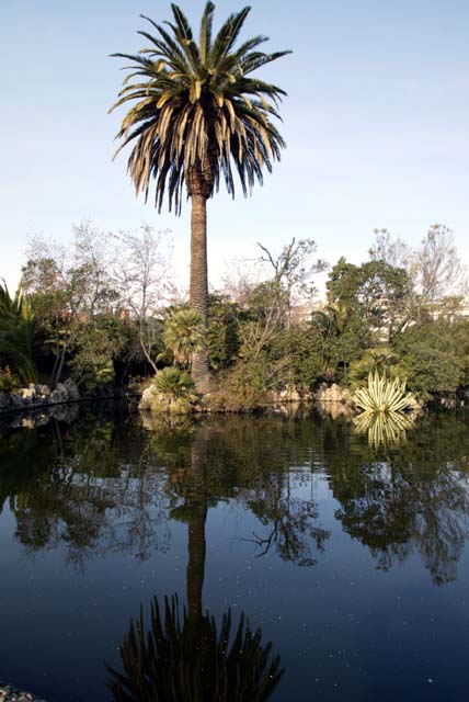 Foto de El Masnou (Barcelona), España