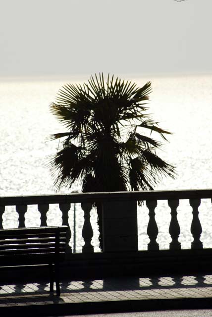 Foto de El Masnou (Barcelona), España