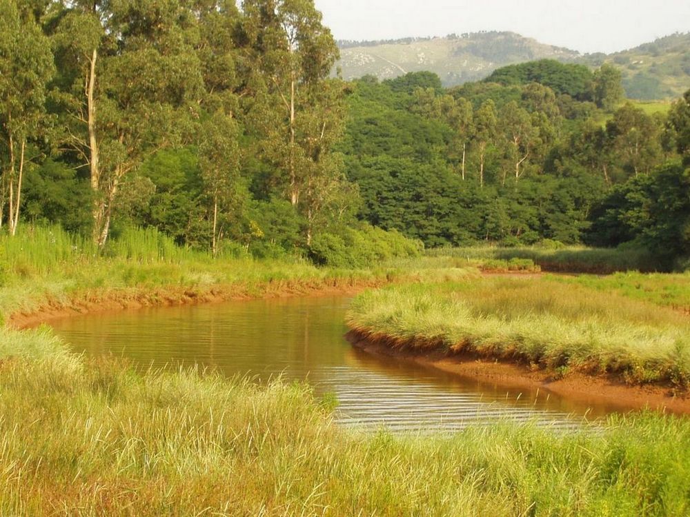 Foto de Guarnizo (Cantabria), España