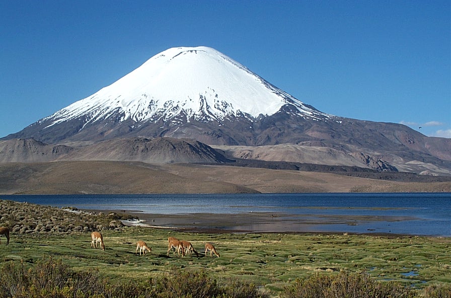 Foto de Parinacota, Chile